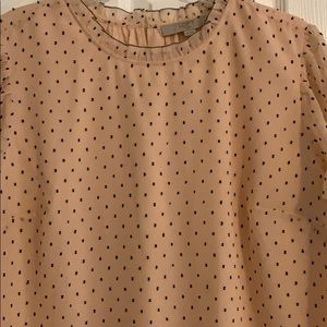Loft plus size blouse